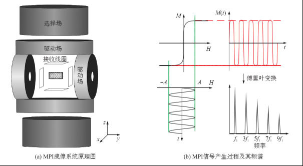 磁粒子成像(MPI)技术的前沿进展与临床应用进展